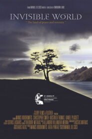 Invisible World